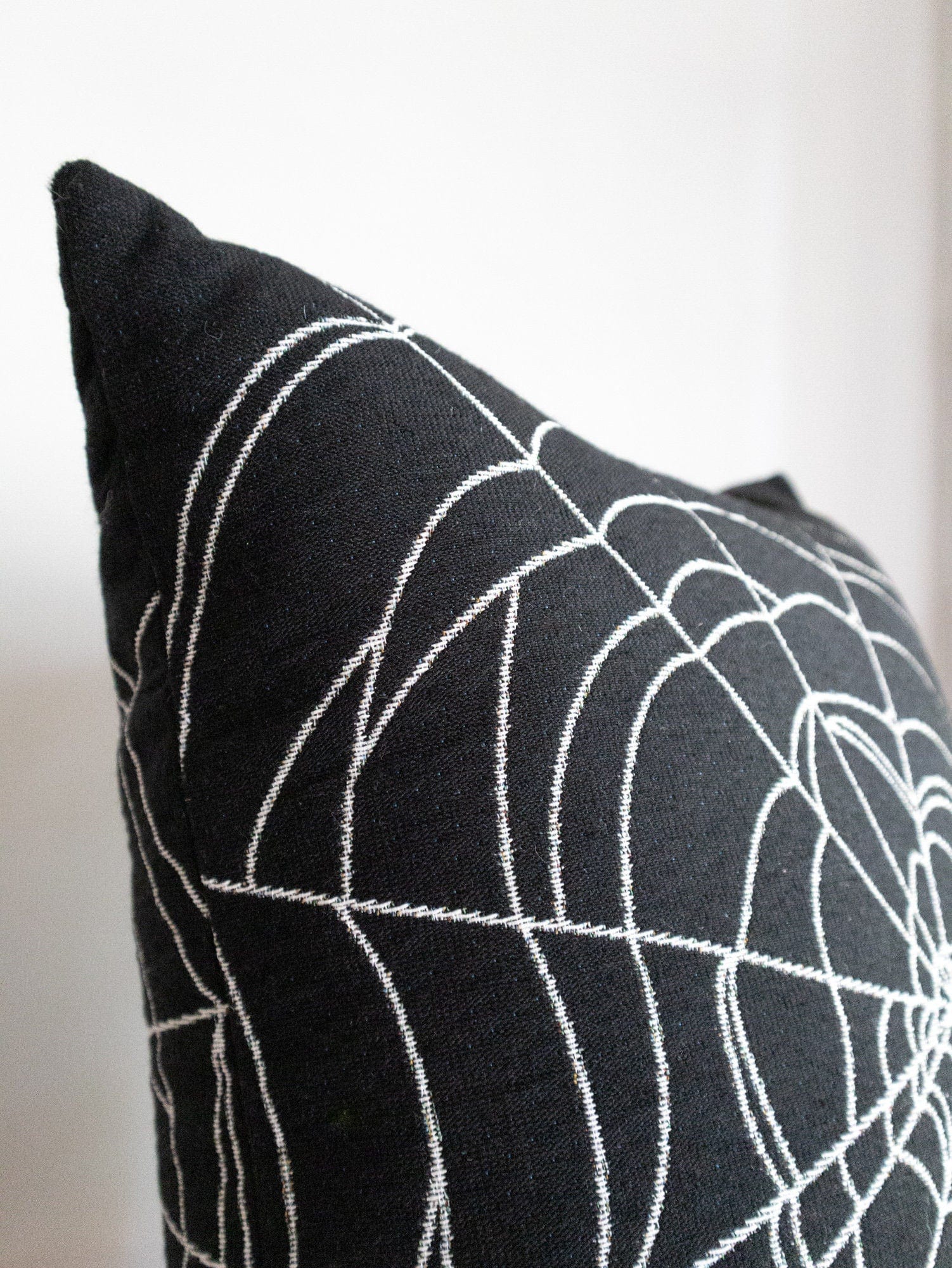 Black Spiderweb