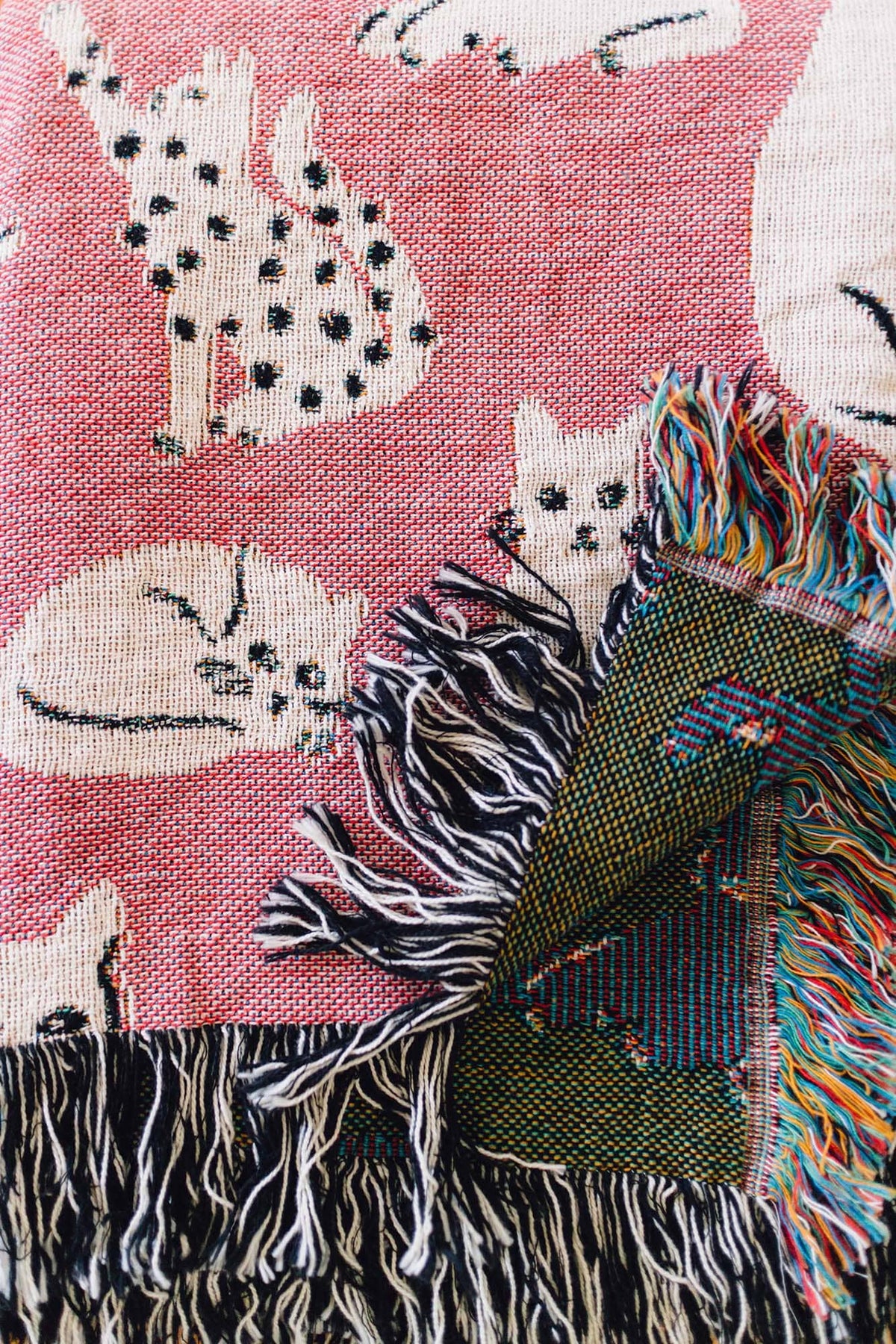 Cat Throw Blanket