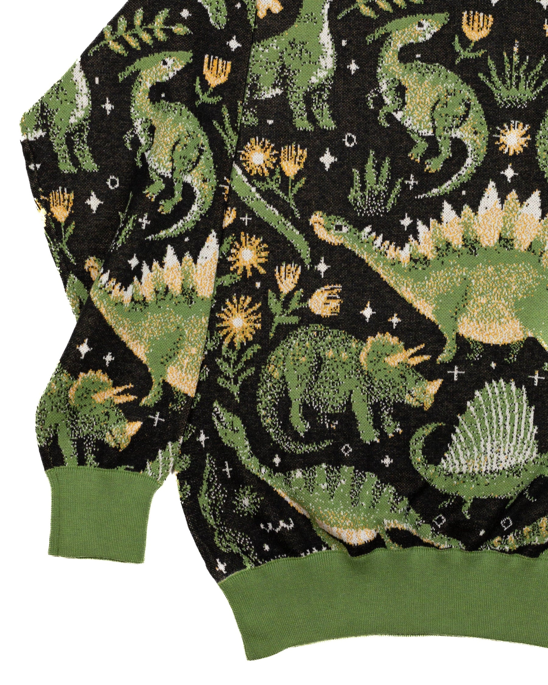 Compania Fantastica Dinosaur Print Cotton sweatshirt FA21SEV02 main image 1