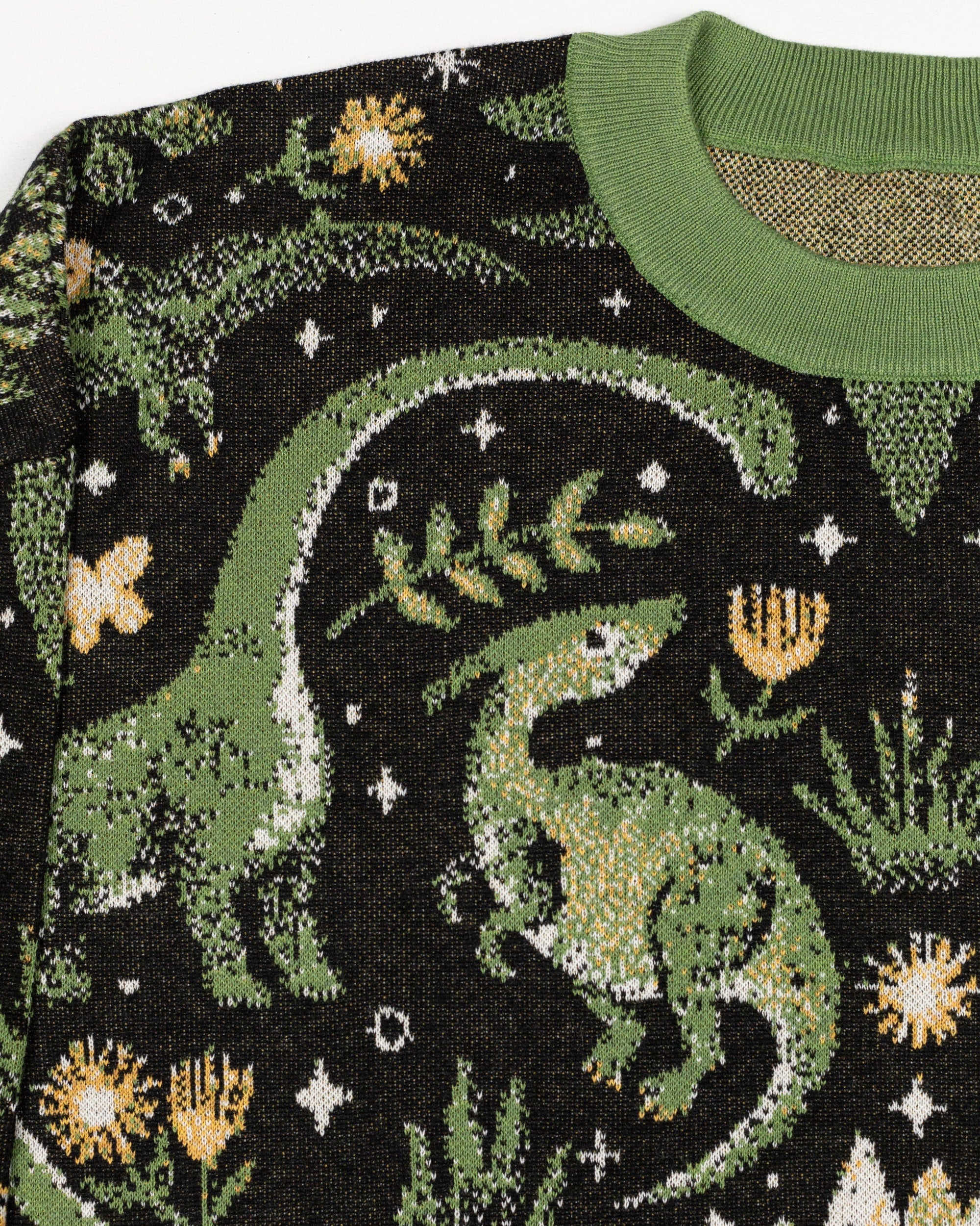 Dinosaur Sweater Frankie Print Co