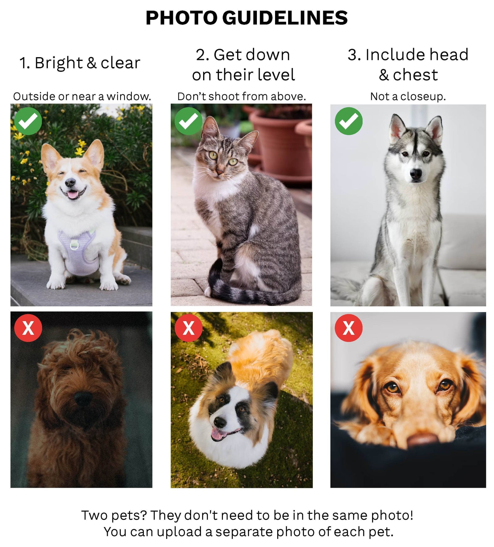 Custom Pet Photo Tote Bag: Garden