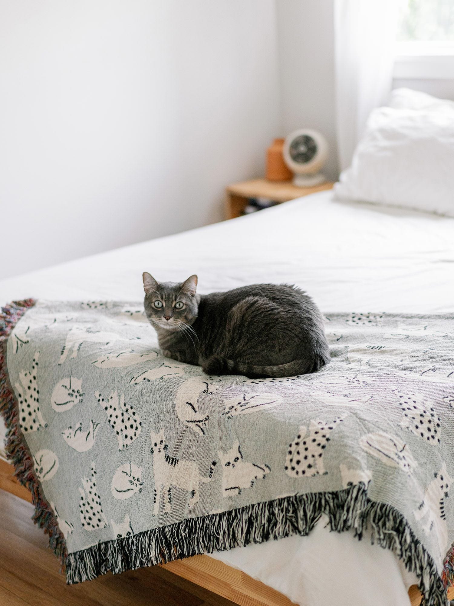 Grey Cats Throw Blanket