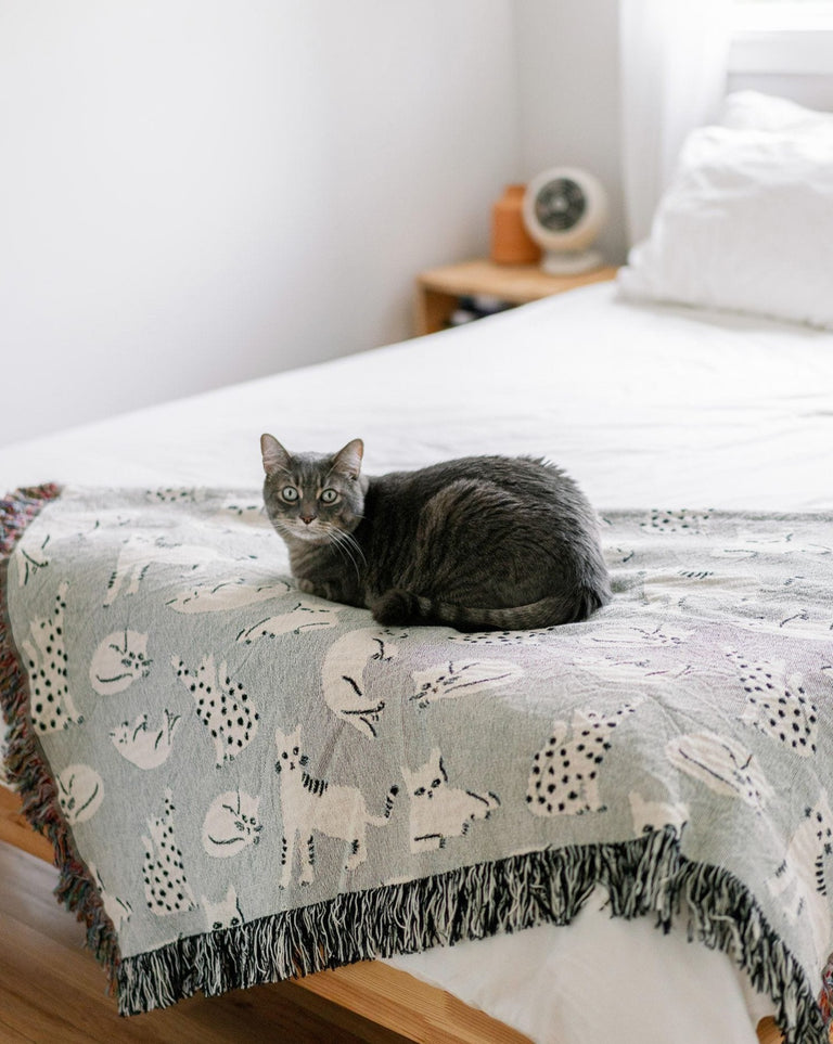 Grey best sale cat blanket