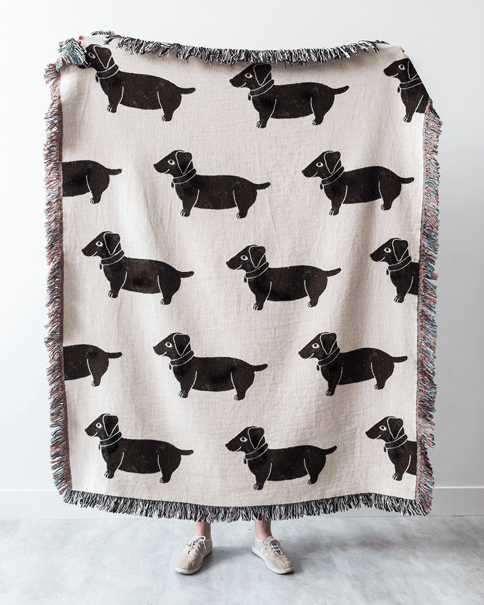 White dog blanket best sale